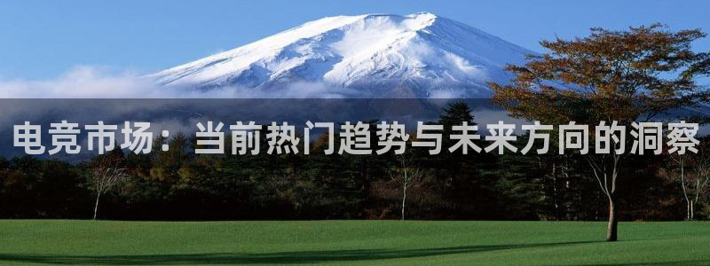 uwin电竞是什么：电竞市场：当前热门趋势与未来方向的洞察