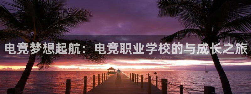 uwin电竞平台：电竞梦想起航：电竞职业学校的与成长之旅