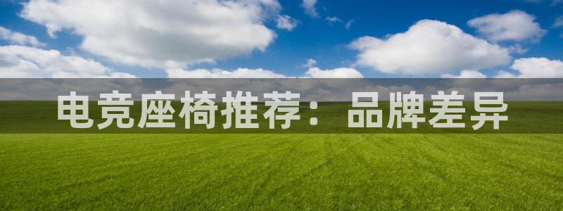 uwin电竞官网：电竞座椅推荐：品牌差异