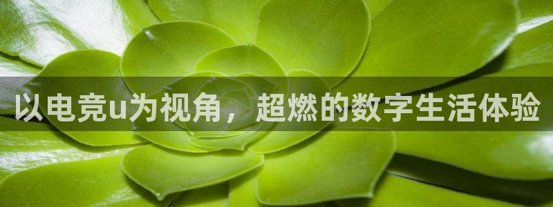 uwin电竞下载：以电竞u为视角，超燃的数字生活体验