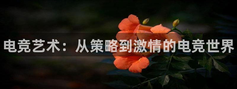 uwin电竞平台：电竞艺术：从策略到激情的电竞世界