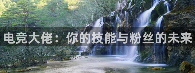 uwin电竞：电竞大佬：你的技能与粉丝的未来