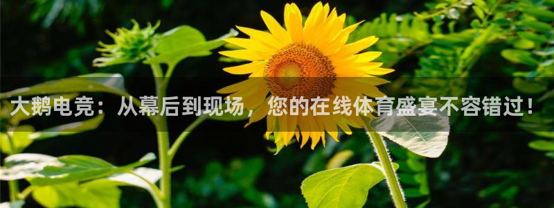 uwin电竞下载：大鹅电竞：从幕后到现场，您的在线体育盛宴不容错过！